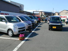 �����񍐎ʐ^